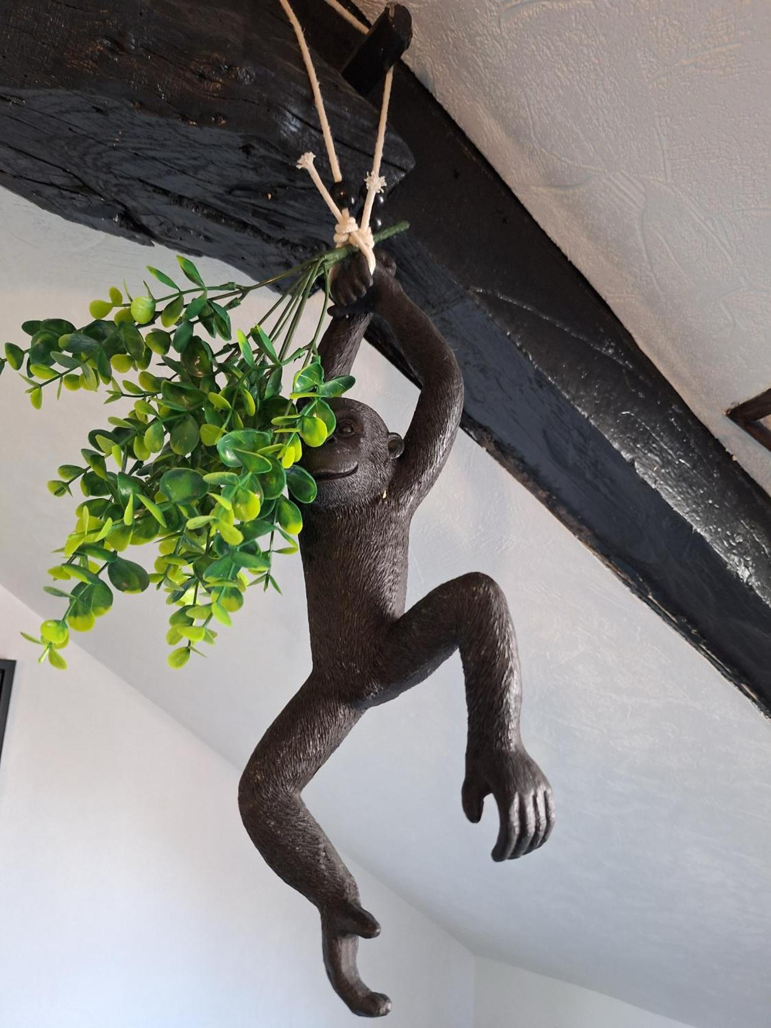 Jungle Cosy Apartment Louviers Exterior foto
