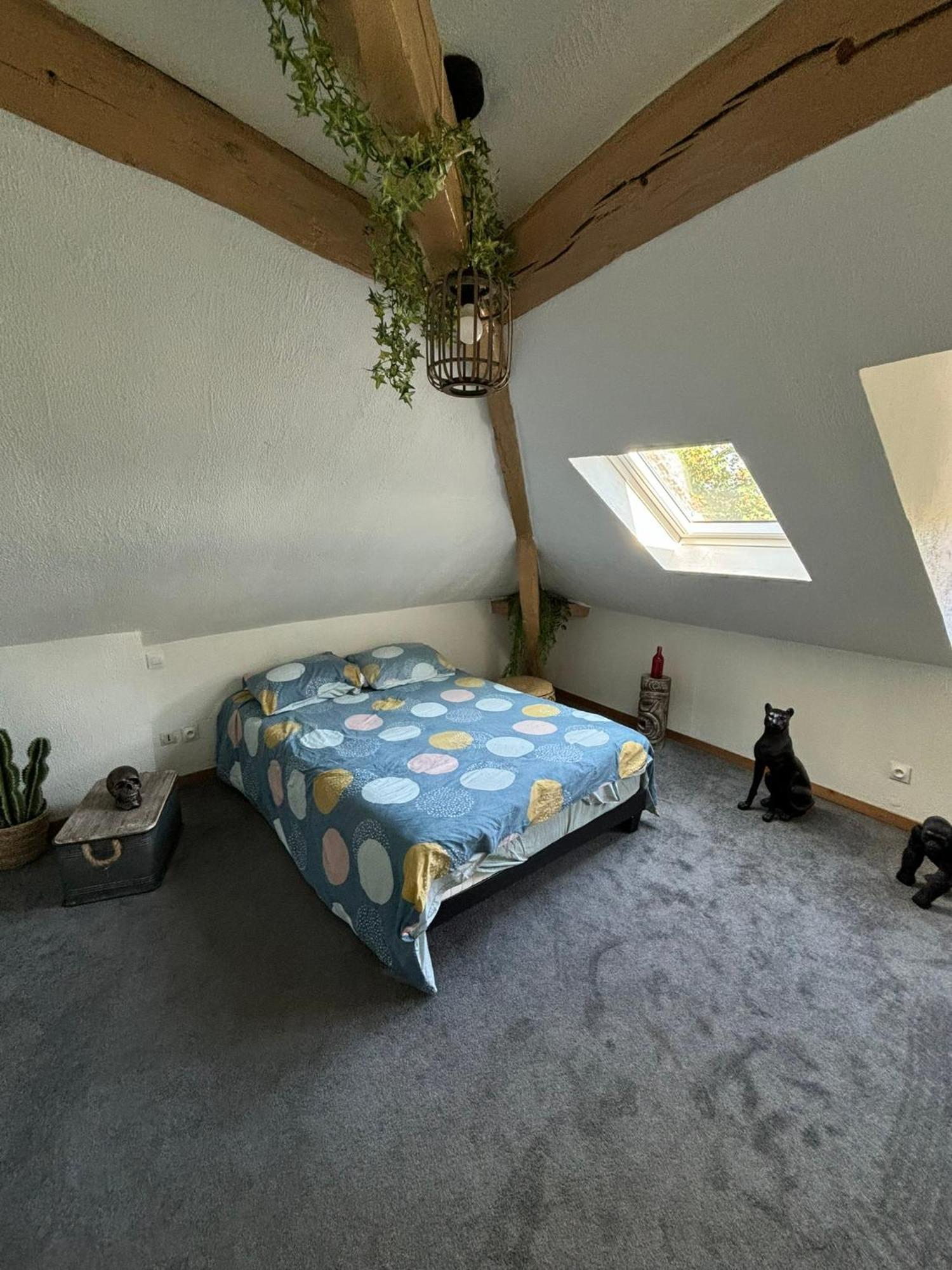 Jungle Cosy Apartment Louviers Exterior foto